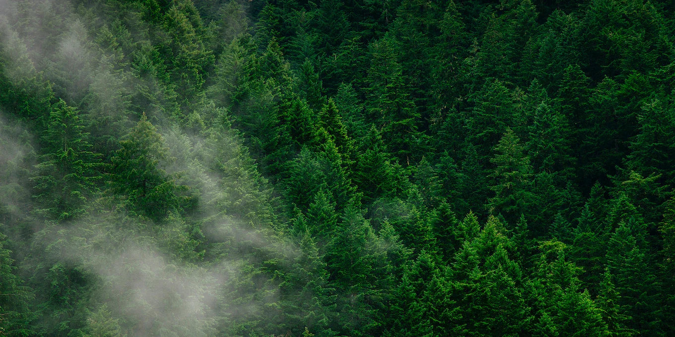 Our Sustainability Pledge