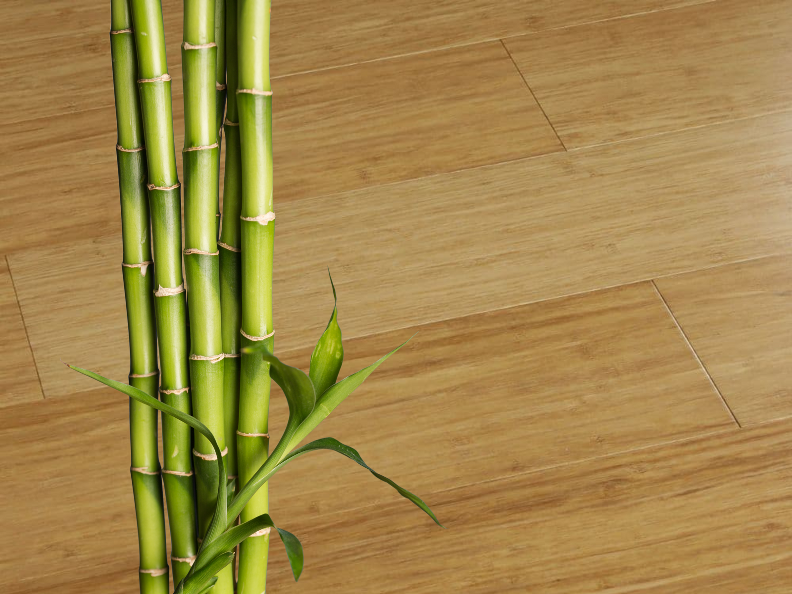 Bamboo Flooring Pros and Cons