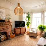 Living room with a cork floor, fireplace, guitar, TV, and various plants.
