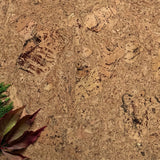 EarthTone Click Cork Flooring