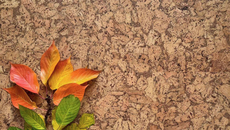 EarthTone Click Cork Flooring