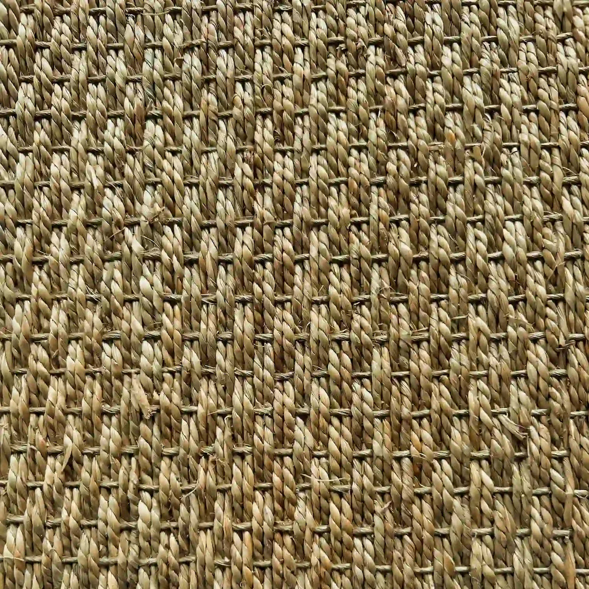 Seagrass Fine Weave natural carpet close-up