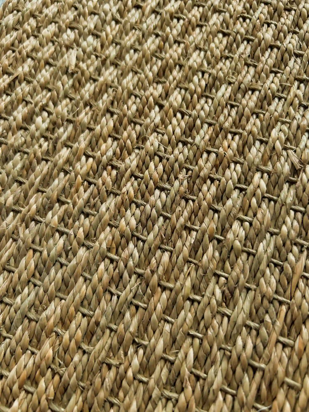 Seagrass Fine Weave natural carpet, room view